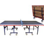 Ping pong table model W